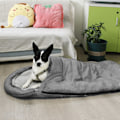 Miniatyrbillede 8 af 8: Vandtæt kæledyrs sovepose tæt tilpasning varm foldbar hund seng indendørs udendørs rejse lysegrå foring 110x70cm/43.3x27.6in