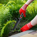 Miniatyrbilde 4 av 5: Hagespader, Rotspade, Plantespade og Gravespade, Komfortabelt grep, Robust, Hagehåndverktøy for Luking, Løsning av Jord, Graving av Sukkulenter