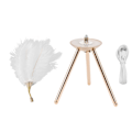 Miniatyrbilde 1 av 8: Fjær bordlampe USB oppladbar struts fjær skrivebordslampe med gullstativ for soverom 40 stk kunstig fjær hvit