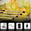 Miniatyrbillede 5 af 5: 80W 4-hoveder Timing LED Grow Light med 9 dæmpbare niveauer og justerbar svanehals - ideel til indendørs planter