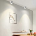 Pikkukuva 3 / 5: 10W LED-kattospotit kattovalaisin, säädettävä lampun rungon kulma, säädettävät kattospotit, LED-kattovalaisimet, 10x10x10cm (valkoinen-4000k) -J