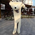 Miniatyrbillede 1 af 5: 80-180cm Teddybjørn Plys Legetøj Blød Ydre Hud Og Udstoppede Dyr Bjørnefrakke Zekai hvid 100cm