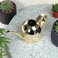 Miniatyrbillede 5 af 8: 500 ml rustfrit stålvandkande med lang tud, vandkande til udendørs og indendørs stueplanter, guld