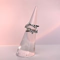 Miniatyrbilde 5 av 5: Akryl Konisk Smykkering Display Stativ - Sett med 2