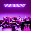 Miniatyrbillede 5 af 5: 1000W LED-lys til havearbejde, blomstring og dyrkning, indendørs grolys, hydroponiske grolys med kroge, spirings- og grolys (rød+blå)