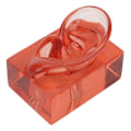 Miniatyrbild 6 av 8: Höger öronmodell transparent röd akryl robust vattentät hög simulering öronvisning modell