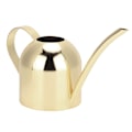 Miniatyrbillede 1 af 8: 500 ml rustfrit stålvandkande med lang tud, vandkande til udendørs og indendørs stueplanter, guld