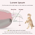 Miniatyrbilde 2 av 5: Katt Negleklipper, LED Blodlinje Dyre Negleklippere, Profesjonell Hundekloklipper, med Neglefil, Ingen Sprut, for Små Hamstere, Kaniner, Kattunger