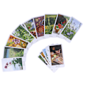 Pikkukuva 7 / 8: 78 kortin tarot-korttipakka, pinnoitettu paperi, ennustaminen, pelikortit, viihde, lautapeli