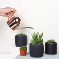 Miniatyrbilde 4 av 5: Lang tut vannkanne i rustfritt stål for blomster, grønnsaker og potteplanter