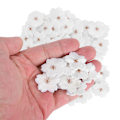 Miniatyrbillede 6 af 8: 100 stk. broderiklæbestof mønster blomme strygemærker DIY rygsæk tøj tilbehør