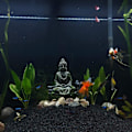 Miniatyrbillede 2 af 5: Akvarium Buddha Statue - Fiskedam Ornament