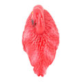 Miniatyrbild 7 av 8: Flamingo Dekorationer Flytande Flamingo Prydnader för Fiskdamm Fisk Tank Bakgård Uteplats Gräsmatta Liten Röd Vilande Flamingo