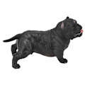 Pikkukuva 8 / 8: Bulldog-simulaatiomalli, opetuskoriste, koiramodelli, figuurikokoelma, lelu PL127-850