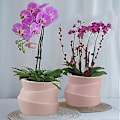 Miniatyrbilde 5 av 5: Sett med 2 keramiske blomsterpotter - Uregelmessig form - Kreativ - Blomsterpotte for små planter, kaktuser (A)
