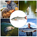 Miniatyrbilde 5 av 8: 12cm/18g ABS plast multiseksjoner kunstig fiske lokke svømme agn sjø hard agn fiskeutstyrY145-3