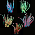 Miniatyrbilde 2 av 2: Myk Silikon Selvlysende Kunstig Havgress, Fluorescerende Akvarietare for Akvariedekorasjon, Rosa