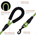 Miniatyrbilde 3 av 5: Grønn, 1,5 m lang nylon hundebånd med polstret håndtak, for daglig gåing og trening, egnet for mellomstore og store hunder