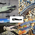 Miniatyrbillede 3 af 5: Lommeklips Titanium Legering Tilbehør Bærbar Dyb Bæring Holdbar DIY Talje Solidt Værktøj Praktisk Bagside Kompakt til C81 0 1 3-Hul (Sort)