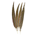 Miniatyrbillede 1 af 2: Et strejf af Fasanfjer 4 stk, Naturlig