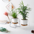 Miniatyrbillede 7 af 8: Sukkulente potter med stativholder Hvid moderne keramisk blomsterkrukkepotte Sort jernstativ Bambusbakke Hjemmekontor Indendørs dekoration
