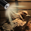 Miniatyrbillede 2 af 5: UVA UVB pærer 25W og 50W, 2 Reptil Lamper Varme Terrestrisk Skildpadde Lampe med Lang Base 360° Rotation til Reptiler og Padder