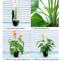 Miniatyrbild 7 av 8: Konstgjord blomma vardagsrumsdekoration plastblommor simulering krukväxt prydnader falsk blomma