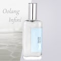 Miniatyrbild 8 av 8: 3 typer 50 ml damparfym Långvarig glittrande doftparfym med snabb sprayhuvudOolang Infini