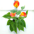 Miniatyrbild 4 av 8: Konstgjord blomma vardagsrumsdekoration plastblommor simulering krukväxt prydnader falsk blomma