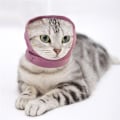 Pikkukuva 3 / 5: 2kpl Kannettavat Lemmikkieläinten Korvasuoja Joustava Koiran Snood Mukava Koiran Korvasuoja Lemmikkieläintarvike, 20*15cm