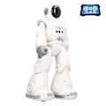 Miniatyrbild 2 av 8: Fjärrkontrollrobotleksaker Infraröd och geststyrning Gå intelligent programmerbar robot för barn