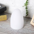 Miniatyrbilde 3 av 8: USB-lading LED Egg Nattlampe Fjernkontroll 16 RGB Farge Øyebeskyttelse Bordlys for hotellrom (10x15CM (Lading)