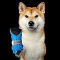 Miniatyrbillede 5 af 5: 4 Stykker Sommer Potebeskyttere til Små og Mellemstore Hunde og Katte Sko Åndbare Skridsikre Mesh Hunde Sandaler med Justerbart Spænde Traction ControlS