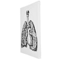 Pikkukuva 5 / 8: Anatomian kangas retro koristeellinen seinäelin taidemaalaus sairaalaan makuuhuoneeseen luokkahuoneeseen tyyppi A