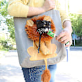 Miniatyrbilde 3 av 5: Pet Canvas Liten Løve Skulder Bag for Katter og Hunder grå