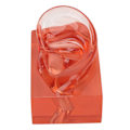 Miniatyrbild 4 av 8: Höger öronmodell transparent röd akryl robust vattentät hög simulering öronvisning modell