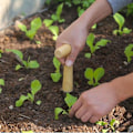 Miniatyrbillede 5 af 5: Bærbar Håndholdt Plante Løg Såmaskine Værktøj