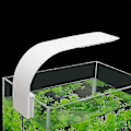 Miniatyrbillede 3 af 5: Akvarielys LED Hvidt og Blåt Lys Nano Clip Belysning -DGJR