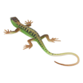 Miniatyrbild 3 av 8: Ödlor Figur Leksak Simulering Säker Målning Barn Present Reptil Modell Dekoration för Sovrum Studie Samling PL127 1511