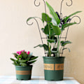 Miniatyrbild 5 av 8: Trädgårdsspaljé i rostfritt stål för klätterväxter Vine Plant Support Spaljé för Vines C C