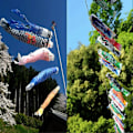 Miniatyrbilde 3 av 5: Japansk Nobori Koinobori Karpestreamer Vindpose Fiskeflagg Kite - 55cm Hjemmeinnredning Grønn