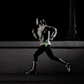Miniatyrbillede 3 af 5: 2 stk. USB LED sikkerhedslys - Klar cykelbaglygte fungerer glimrende som løbelys til joggere, kæledyr, cykelblink eller bagclips