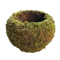 Japansk Stil Mossboll Trädgårdsarbete Krukväxt Moss Blomkruka A