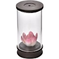 Miniatyrbillede 2 af 5: Lotus Tilbageflydende Røgelsebrænder Vindtæt Dekorativ Genstand til Hjemmet og Kontoret