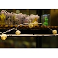 Miniatyrbillede 4 af 8: 20LED Rattan Ball String Lights Romantisk Dekorativ Fairy Light til udendørs indendørs
