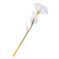 Miniatyrbild 7 av 8: Transparent rosblomma med kärleksformad displayställ hantverkssamling lila förpackningslåda vit och färg