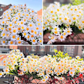 Miniatyrbillede 3 af 5: UV-bestandige kunstige margueritter - Perfekte til udendørs, fester, bryllupper, buketter, buske, planter, hjem og have