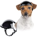 Miniatyrbillede 1 af 5: Kæledyrshjelm til hunde med ørehul - Hovedbeskyttelse til vandring, cykling og kørsel