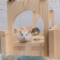 Miniatyrbild 3 av 4: Träplattform för Chinchillabur och Hamster, Rått-Hål Lekplattform - Idealisk Livsmiljö för Små Djur