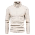 Miniatyrbilde 1 av 4: Slank Passform Khaki Polo Hals Strikket Genser for Menn